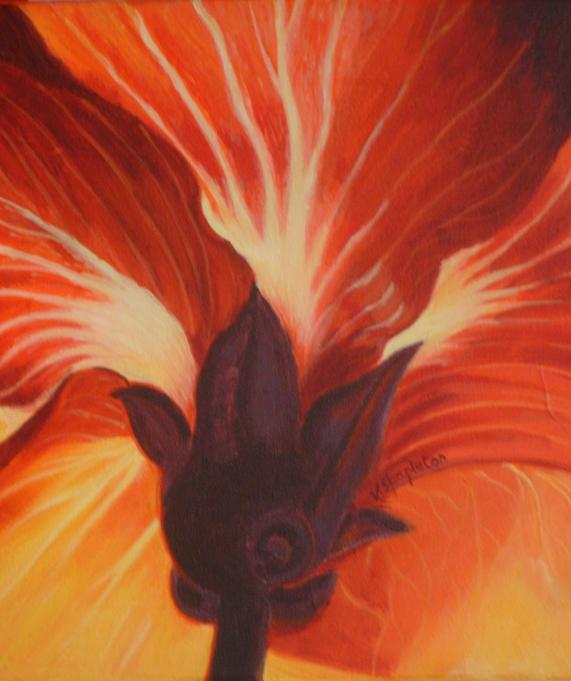 Calice d'Ibiscus - Valérie Stapleton