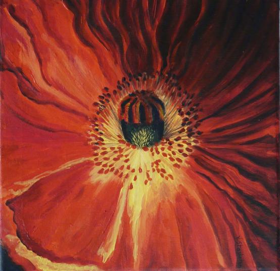 Coeur de Coquelicot - Valérie Stapleton