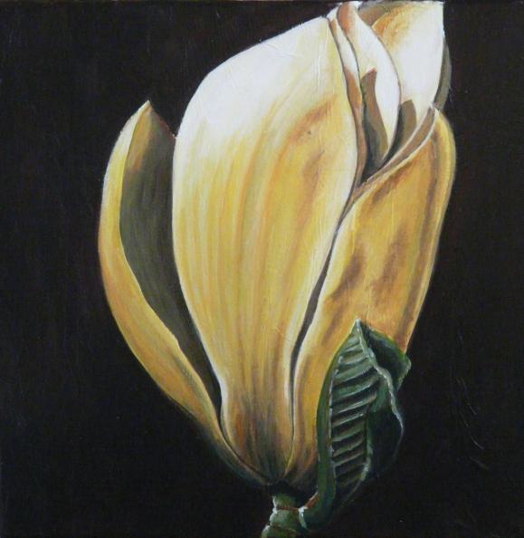 Fleur de magnolia - Valérie Stapleton - Click to enlarge