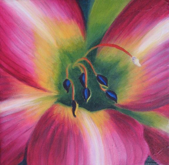 Hemerocallis - Valérie Stapleton - Cliquer pour afficher en grand