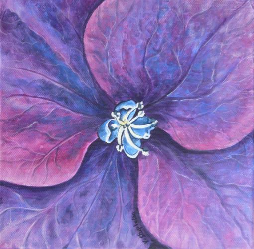 Hydrangea Mauve - Valérie Stapleton
