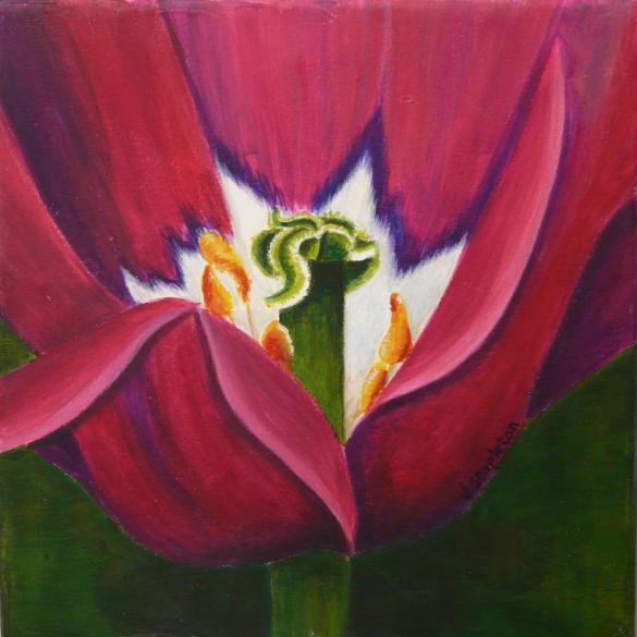 Tulipe - Valérie Stapleton - Cliquer pour afficher en grand