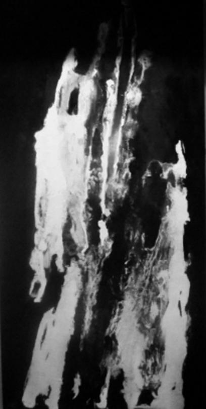 Norma - Isabelle Kingué Makembé