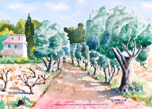 Allée d'oliviers chez Bodin à Cassis - Jacky Roger
