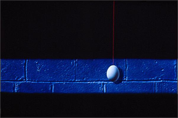 Sankai Juku - Nolan Haan - Click to enlarge