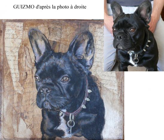 GUIZMO et photo - Christine Aussillous