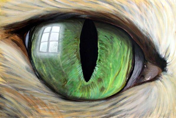L'Oeil du chat - Arnaud Griselin - Cliquer pour afficher en grand