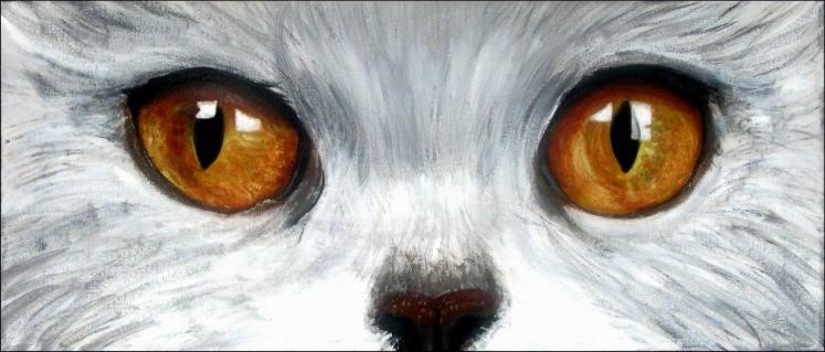 Regard 2 - Arnaud Griselin - Click to enlarge