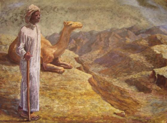 in sainaii - Hanaa Hashem
