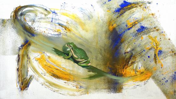 La grenouille, la salamandre et la mouche - Steeves Brown