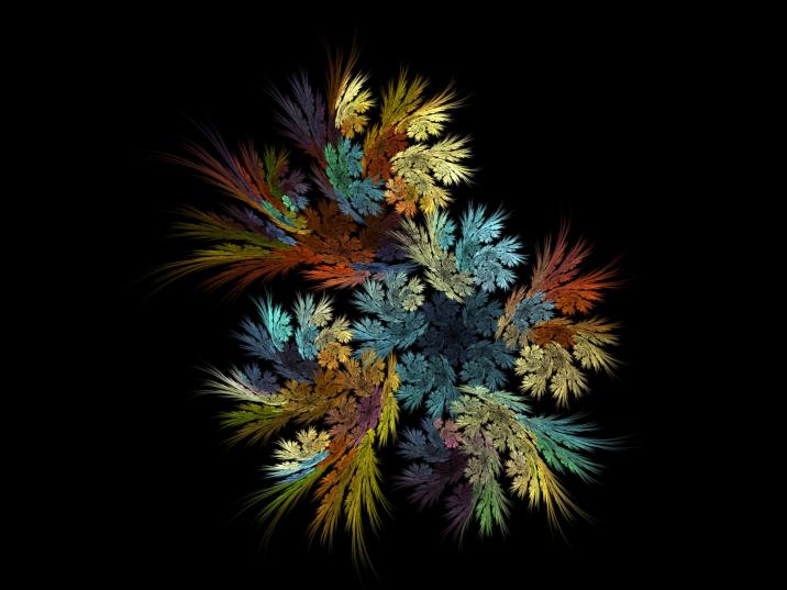 Floraison - Antoine - Click to enlarge