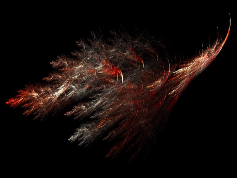 Plumes - Antoine - Click to enlarge