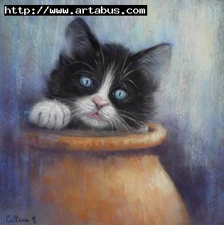 chaton noir blanc - Armelle Callènes