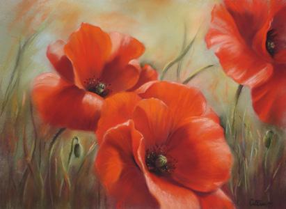Coquelicots - Armelle Callènes