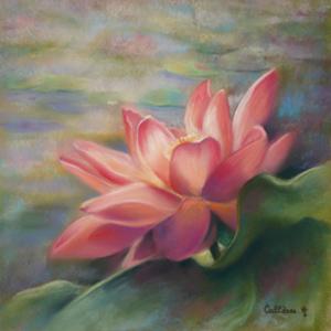 lotus - Armelle Callènes