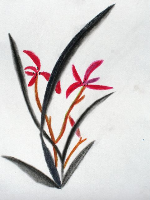 Orchidée - Sahge