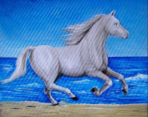 Cheval camargais - Marie France Mateu