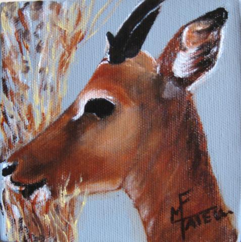 Jeune gazelle - Marie France Mateu