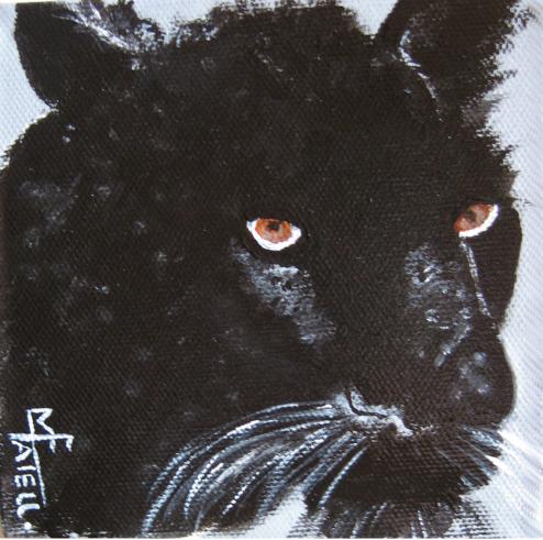 Panthère noire - Marie France Mateu