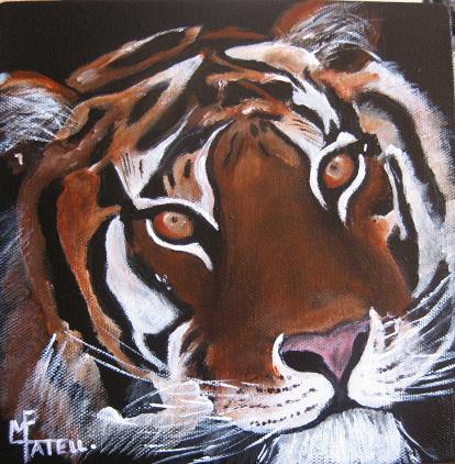 Tigre - Marie France Mateu