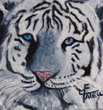 Tigre Blanc 1 - Marie France Mateu