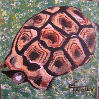 Tortue - Marie France Mateu