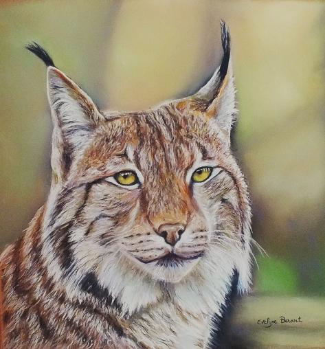 LYNX - Evelyne Berart