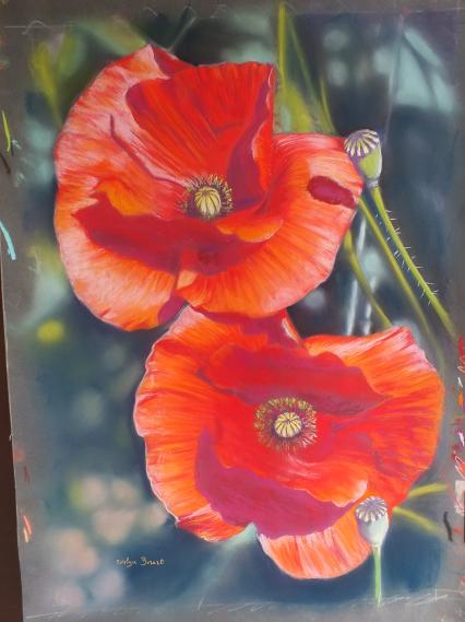 duo de coquelicots - Evelyne Berart