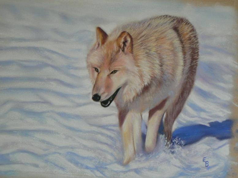 loup blanc - Evelyne Berart - Click to enlarge