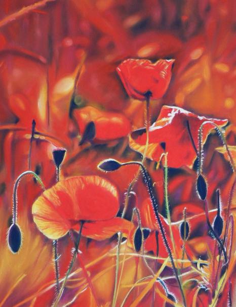 fleurs du soleil - Evelyne Berart
