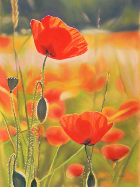 champ de coquelicots - Evelyne Berart