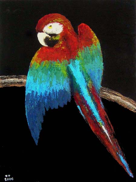 Perroquet Ara - René Perny