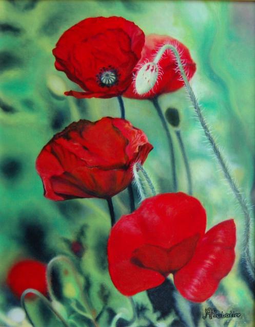 Coquelicots - Annick Sabatier