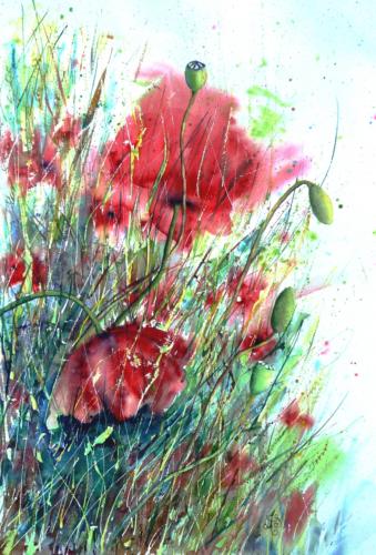 un champ de coquelicots - Annick Sabatier