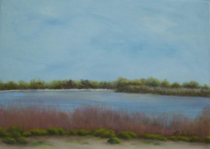 Camargue - Annick Sabatier - Cliquer pour afficher en grand