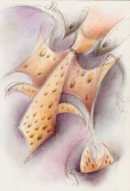 Cravate des carpathes - Bertrand Beaufour