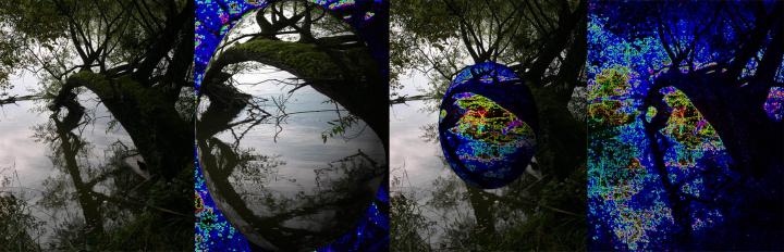 L'artiste... - Bertrand Beaufour - Click to enlarge