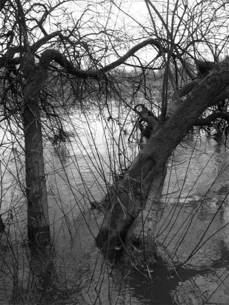 Land' Harp. - Bertrand Beaufour