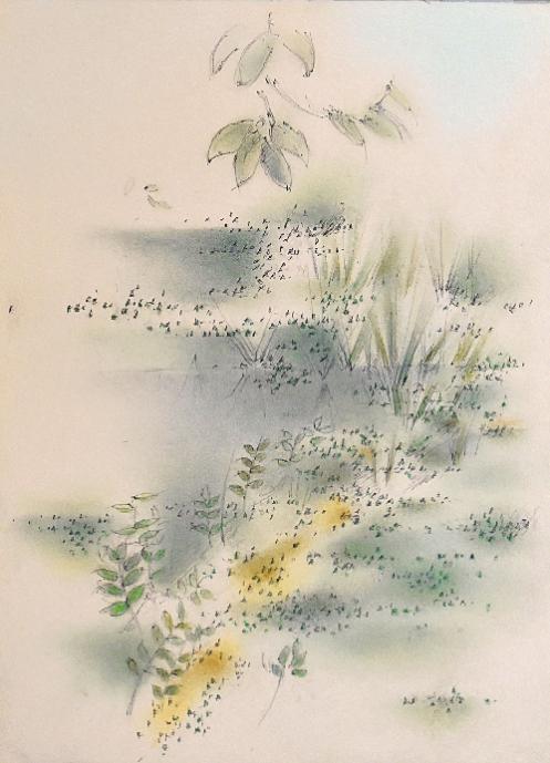 Les lentilles d'eau - Bertrand Beaufour