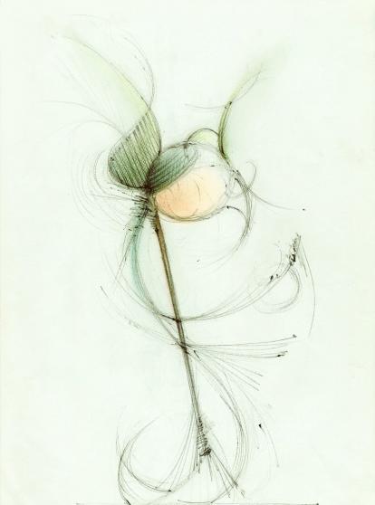 Mouche - Bertrand Beaufour