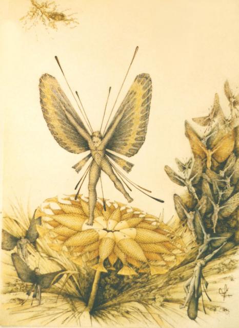 Papillon... - Bertrand Beaufour