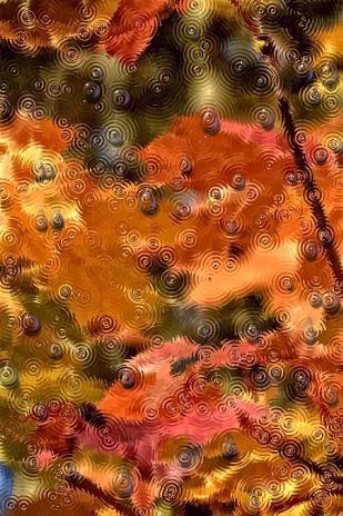 Pluie d' Automne - Bertrand Beaufour