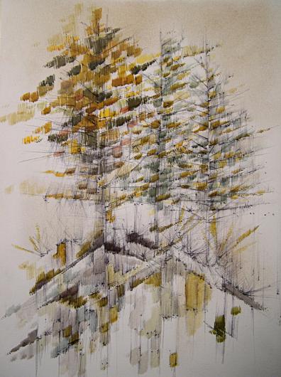 Trois arbres - Bertrand Beaufour