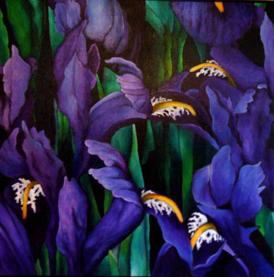 Iris - Catherine Stona