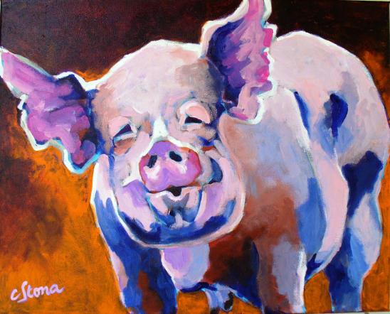 porc - Catherine Stona