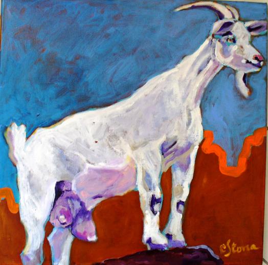 chèvre 3 - Catherine Stona