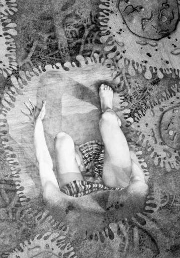 Cellule engrenage - Guey