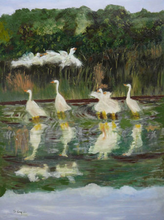 Oies sauvages - Denise