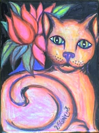 Chat intrigué - Stephane Cuny
