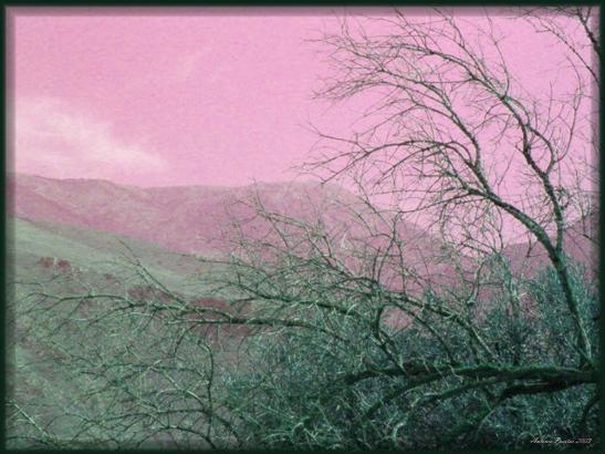 DAYBREAK - Antonio Puertas